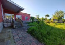 Lənkəranda günlük kirayə bağ evi