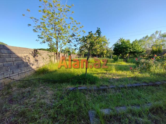 Lənkəranda günlük kirayə bağ evi