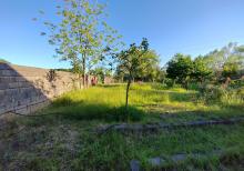 Lənkəranda günlük kirayə bağ evi