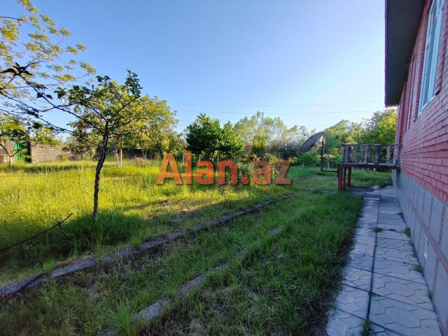 Lənkəranda günlük kirayə bağ evi