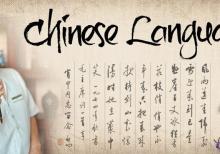 Zinyət Tədris Mərkəzində Çin dili kursları.