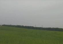 Şəki şəhəri Aşağı Küngüt kəndində 3,3 hektar pay torpaq sahəsi satılır