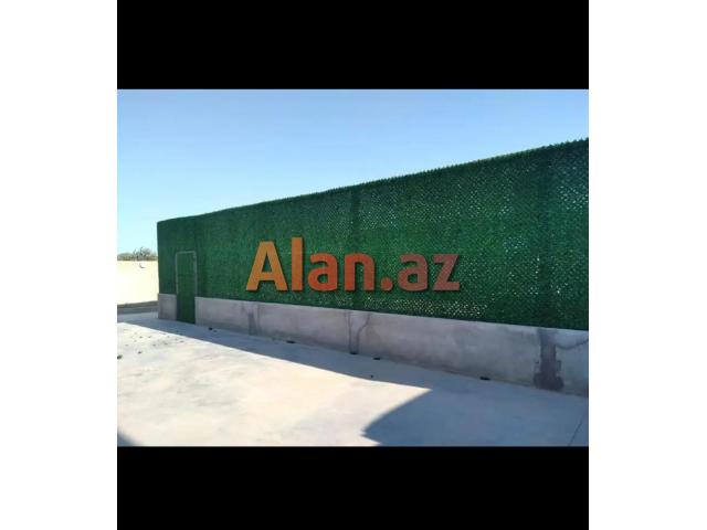 Yaşıl hasar -Süni dekorativ örtüklər