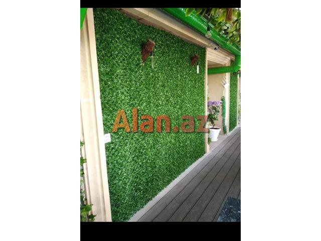 Yaşıl hasar -Süni dekorativ örtüklər