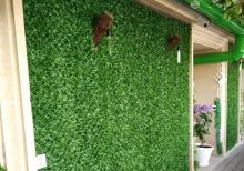 Yaşıl hasar -Süni dekorativ örtüklər