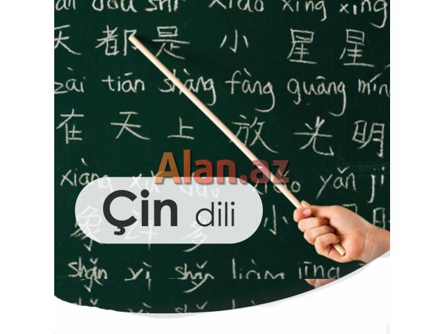 Çin dili kursları fərdi individual dərslər