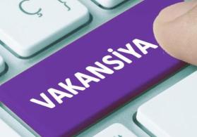 Ofis Meneceri Vakansiya