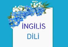 İngilis dili kursu