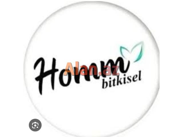 Homm bitkisel