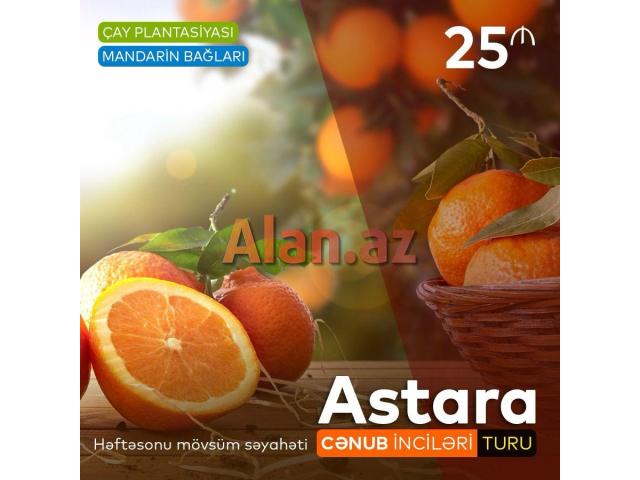 Lənkəran Astara Sitrus Turu