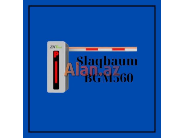 Slaqbaum  BGM560