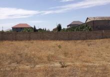 Buzovnada 11.5 sot torpaq