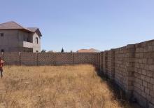 Buzovnada 11.5 sot torpaq