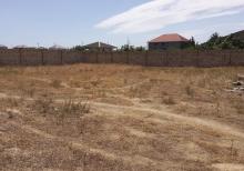 Buzovnada 11.5 sot torpaq