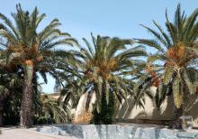 Buzovnada villa satılır