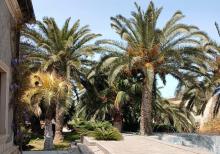 Buzovnada villa satılır