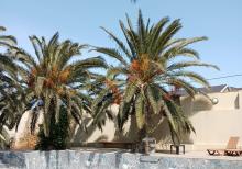 Buzovnada villa satılır