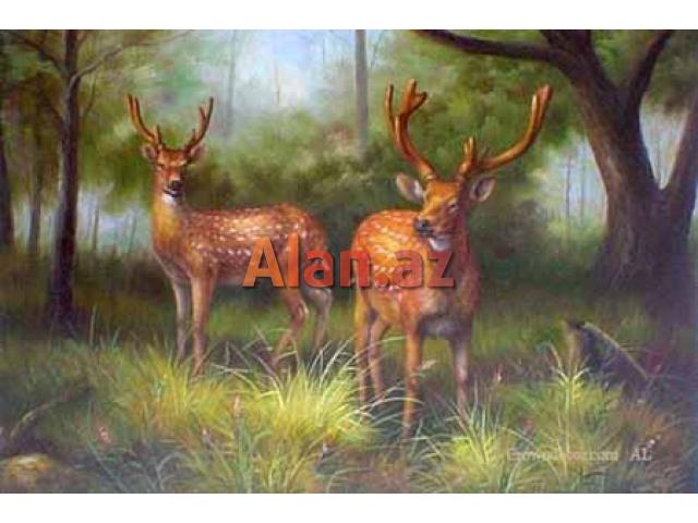 Rəssamlıq kursları