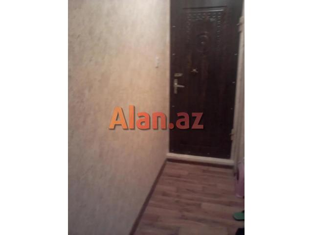 Əhmədlidə ev kiraye verirəm