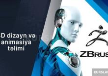 3D dizayn və animasiya təlimi