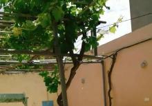 Mərdəkanda mərkəz yolunda