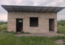 Tam məhsula düşən İntensiv Gilas Bağı