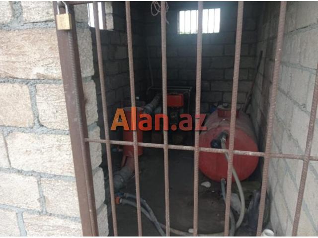 Tam məhsula düşən İntensiv Gilas Bağı