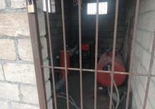 Tam məhsula düşən İntensiv Gilas Bağı