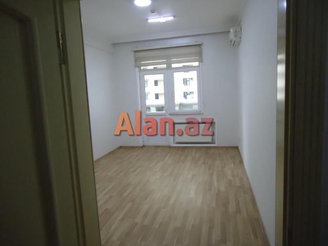 xetai de icareye ofis