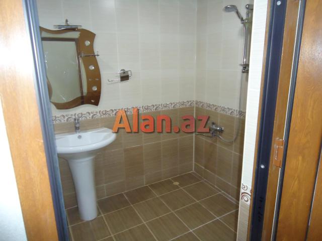 xetai de icareye ofis