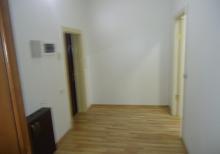 xetai de icareye  ofis