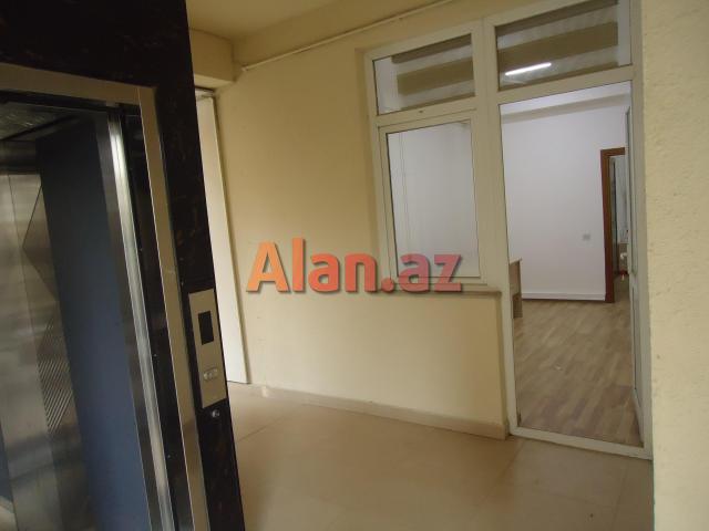 xetai de icareye ofis