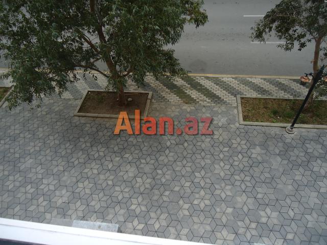 xetai de icareye ofis