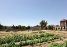 12 sot torpaq satılır