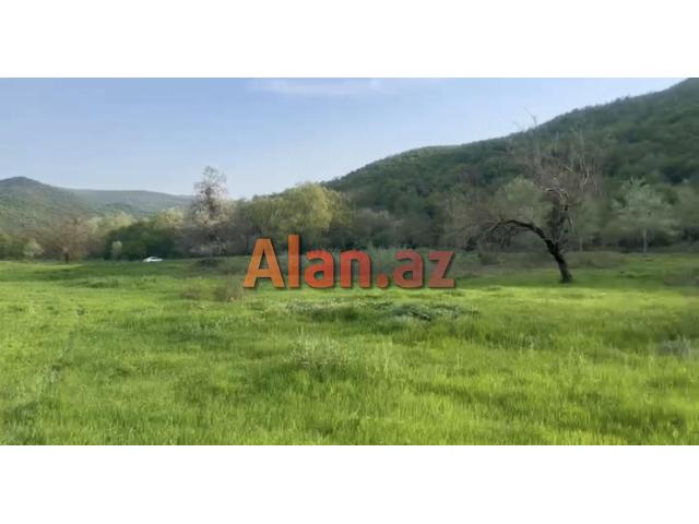 Samaxi dilman kelvan kendi ismayli yolun usde