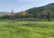 Samaxi dilman kelvan kendi ismayli yolun usde