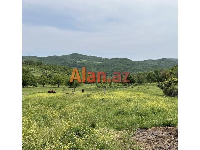 Samaxi dilman kelvan kendi ismayli yolun usde