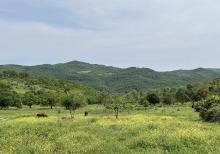 Samaxi dilman kelvan kendi ismayli yolun usde