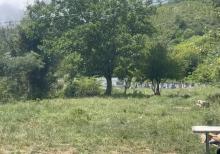 Samaxi dilman kelvan kendi ismayli yolun usde