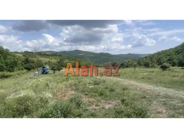 Samaxi dilman kelvan kendi ismayli yolun usde