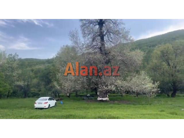 Samaxi dilman kelvan kendi ismayli yolun usde