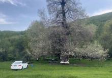 Samaxi dilman kelvan kendi ismayli yolun usde