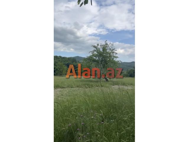 Samaxi dilman kelvan kendi ismayli yolun usde