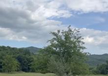 Samaxi dilman kelvan kendi ismayli yolun usde