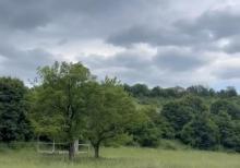 Samaxi dilman kelvan kendi ismayli yolun usde