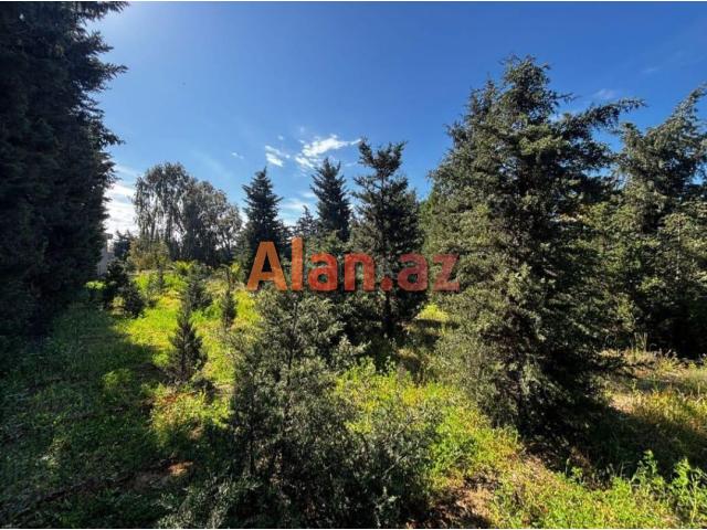 Şüvəlanda 30 sot torpaq satılır