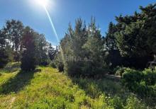 Şüvəlanda 30 sot torpaq satılır