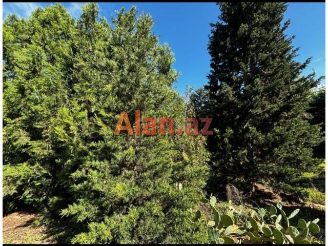 Şüvəlanda 30 sot torpaq satılır