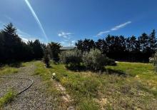 Şüvəlanda 30 sot torpaq satılır