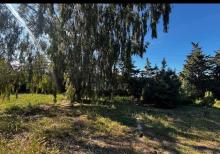 Şüvəlanda 30 sot torpaq satılır